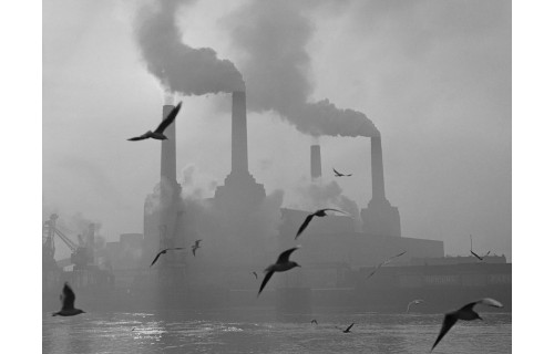 Pellet a węgiel. Wielki smog. Siedemdziesiąt lat temu Londyn prawie się udusił.