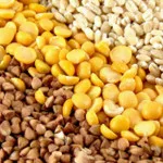 Grain crushers