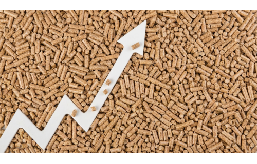 Kryzys na rynku pelletu: Dlaczego ceny są tak wysokie i jak zapewnić sobie niezależność energetyczną? Kryzys na rynku pelletu: Dlaczego ceny są tak wysokie i jak zapewnić sobie niezależność energetyczną?