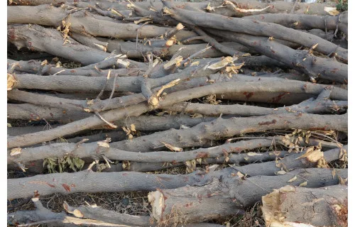 Cosa fare con i rami dopo la potatura nel frutteto e nel giardino?