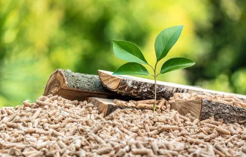 Il pellet da riscaldamento è ecologico? Il pellet da riscaldamento è ecologico?