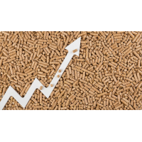 Kryzys na rynku pelletu: Dlaczego ceny są tak wysokie i jak zapewnić sobie niezależność energetyczną?