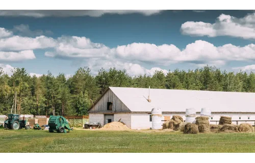 Un’azienda agricola su misura per il XXI secolo – come risparmiare tempo e denaro grazie alla tecnologia